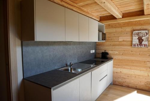 uma cozinha com um lavatório e uma bancada em Alpi Azzurre em Limone Piemonte