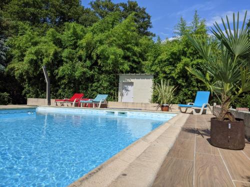 - une piscine avec trois chaises et un palmier dans l'établissement 2 Coeurs 2 Landes, à Garrosse