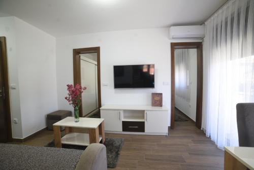 TV a/nebo společenská místnost v ubytování "Mini Hotel Vienna" Apartments