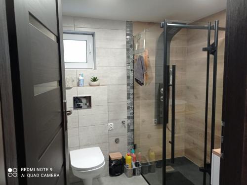W łazience znajduje się toaleta i przeszklona kabina prysznicowa. w obiekcie Apartamenty Sowianka w mieście Ludwikowice Kłodzkie