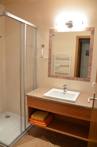 a bathroom with a sink and a shower at Ferienhaus Drobesch in Sankt Kanzian