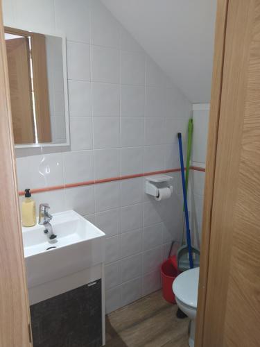 a bathroom with a sink and a toilet and a mirror at Casa El Pastor in Valcovero