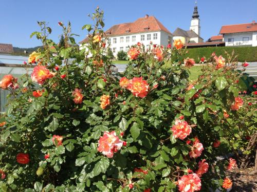 Haus Rose – Photos 4