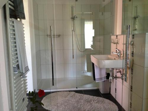 a bathroom with a sink and a shower at Haus Rose in Wenigzell