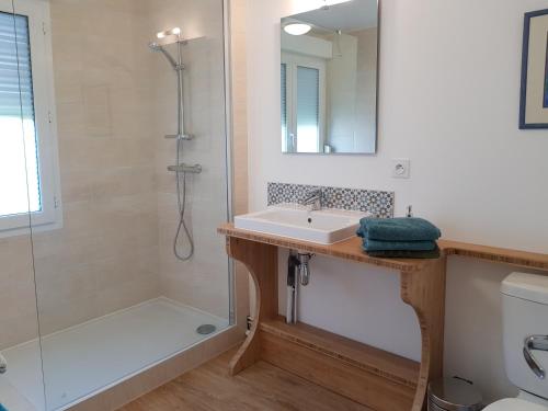 een badkamer met een wastafel en een douche bij TY ROZ in Roz-sur-Couesnon