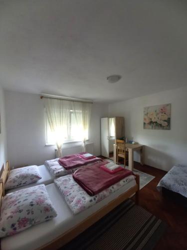 a bedroom with two beds and a window at House Veljko in Vrhovine