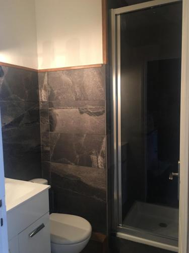 uma casa de banho com um chuveiro, um WC e um lavatório. em OUTA Chamonix centre em Chamonix-Mont-Blanc
