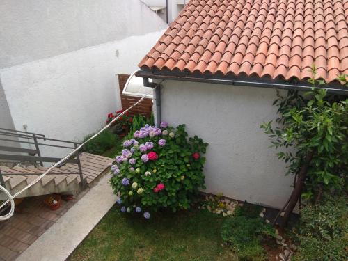 Apartment Nebo