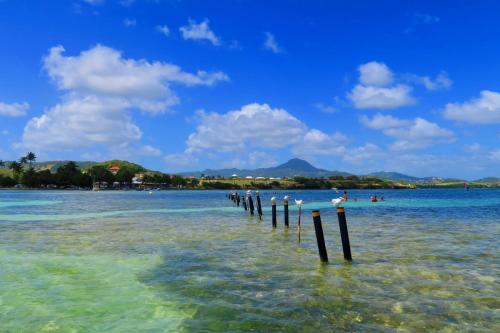 a view of a beach with people in the water at Studio Bwa Banbou dans Villa Fleurs des Iles in Le Vauclin