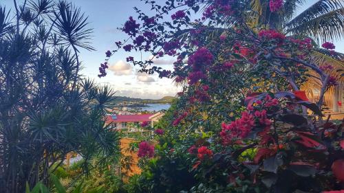 a bunch of flowers are hanging from trees at Studio Bwa Banbou dans Villa Fleurs des Iles in Le Vauclin