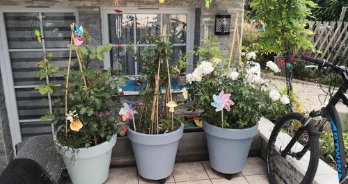 four pots of flowers in front of a house at La Bulle Bleue Futuroscope in Chasseneuil-du-Poitou
