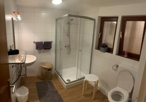 ゴーザウにあるApartmenthaus Edelweiss in Gosauのバスルーム(シャワー、トイレ、シンク付)