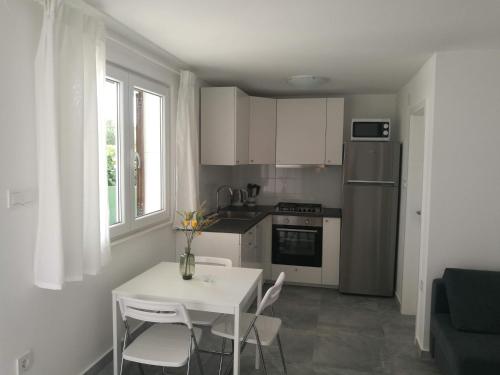 Apartments KUS Ugljanにあるキッチンまたは簡易キッチン