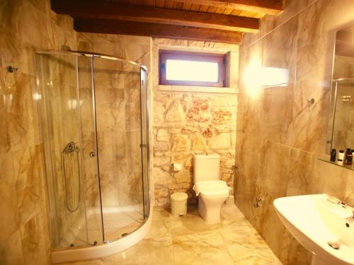 a bathroom with a shower and a toilet and a sink at Fruit Garden Villas in Kriopigi