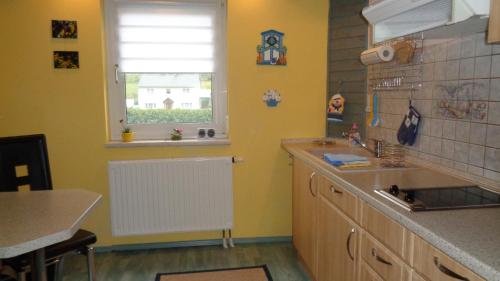 a kitchen with a sink and a window at Ferienwohnung Tuchscherer in Cranzahl