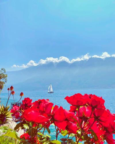 a bunch of red flowers with a sailboat in the ocean at Hotel Forbisicle in Tignale