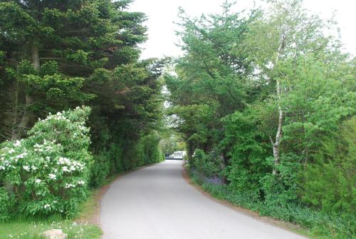 a road with trees on both sides of it at Adventure Park Apartments in Ringkøbing