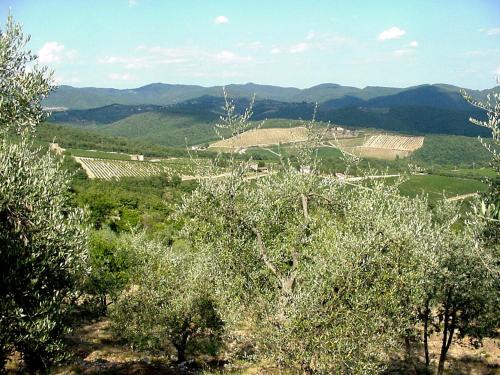 Φυσικό τοπίο κοντά σε αυτό το διαμέρισμα