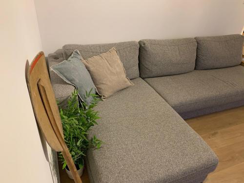 a couch with pillows and a plant in a room at Strandcabane in Nieuwpoort