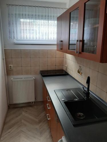 una pequeña cocina con fregadero y ventana en Gray House Apartmán, en Zlaté Hory
