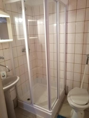 a bathroom with a shower and a toilet at Flamingó Étterem Szálláshely in Somlójenő
