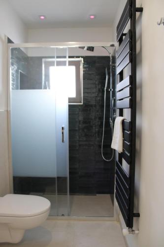a bathroom with a toilet and a glass shower stall at La Casetta 2.0 in Calimera