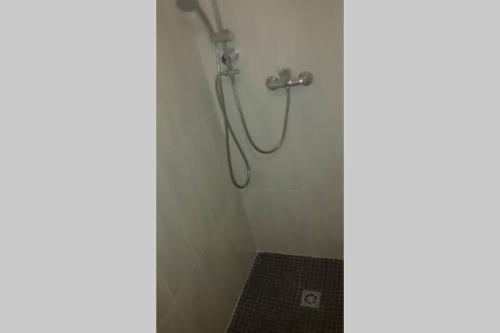 La salle de bains est pourvue d'une douche avec un pommeau de douche. dans l'établissement Chalet Climatisé SANTA MARIA à Bonifacio, à Bonifacio