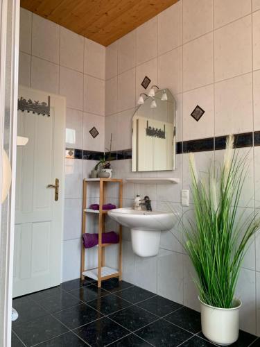 een badkamer met een wastafel en een spiegel bij Schloss Blick Bredendiek in Jever