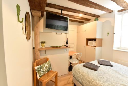 a room with a bed and a tv on a wall at La Lirosane, 3 studios, 3,7km du Zoo, Centre-ville in Saint-Aignan