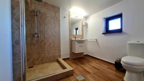 a bathroom with a shower and a toilet and a sink at Elina2 in Techirghiol
