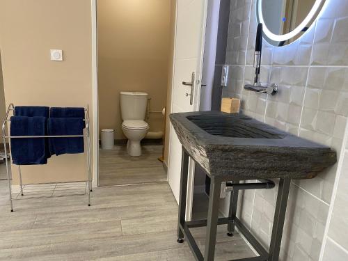 a bathroom with a sink and a toilet and a mirror at The Splendid View - 8 Personnes in Bouillon