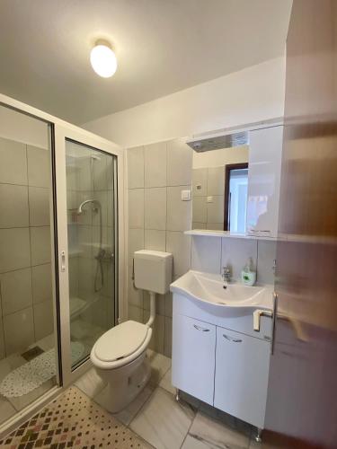 a bathroom with a toilet and a sink and a shower at Apartman Mira in Opatija