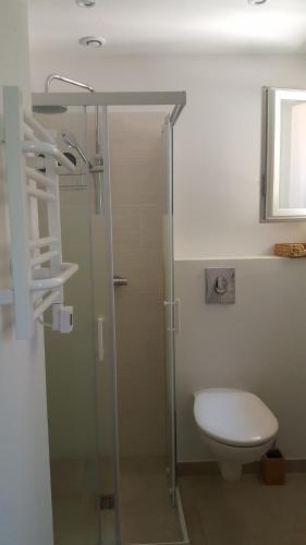 une salle de bain avec toilettes et douche en verre dans l'établissement Appartement Rez de Jardin avec piscine, à Mandelieu-la-Napoule