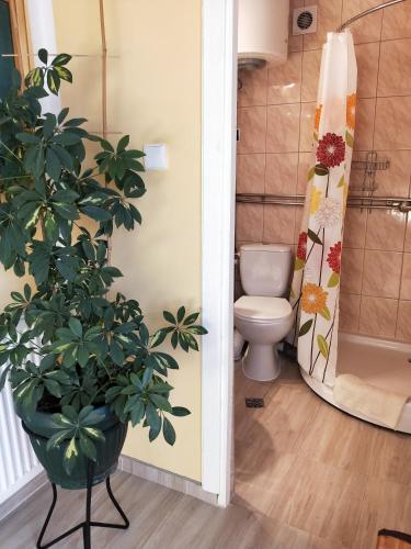 a bathroom with a toilet and a potted plant at Maryla in Kołobrzeg