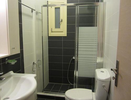 a bathroom with a toilet and a sink and a shower at Spyrou Studios & Apartments in Platanidia