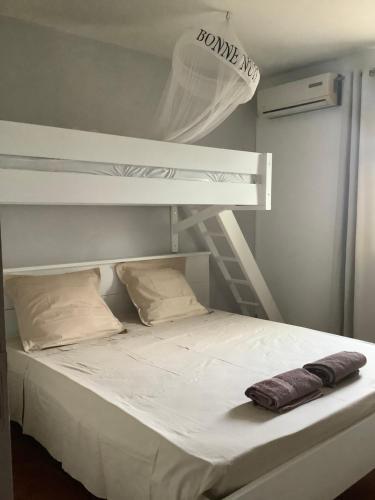 a bedroom with a bunk bed with a ladder at VILLA ALIZEE APPARTEMENT 2 in Sainte-Rose