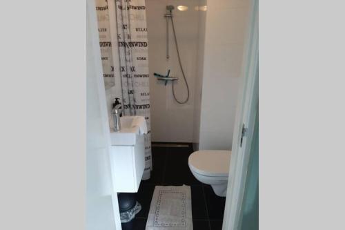 Koupelna v ubytování Zomerhuis Strand 28