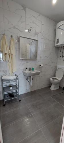 Koupelna v ubytování Apartmani Dejan