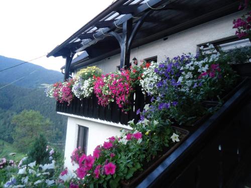 Apartma in sobe Tanja