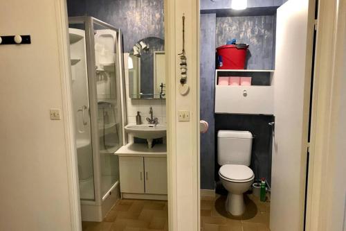 une petite salle de bain avec toilettes et lavabo dans l'établissement Appart T2 spacieux proche Gare TGV, au Mans