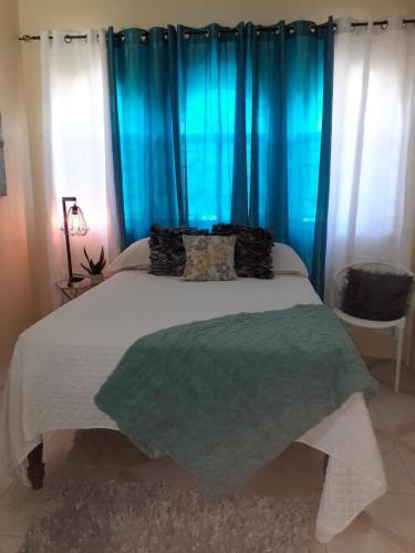 Spanish TownにあるClarke's Luxurious Private Suiteのベッドルーム1室(青いカーテン付きの大型ベッド1台付)