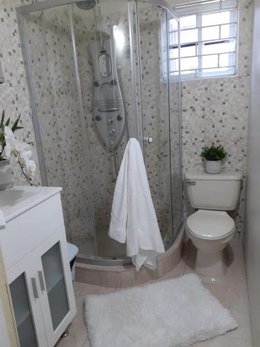 a bathroom with a shower and a toilet at Clarke's Luxurious Private Suite in Spanish Town