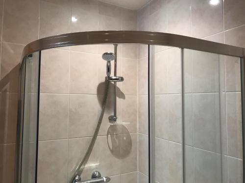 a shower with a shower head in a bathroom at Sunnyview Annexe in Saint Briavels