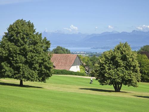 two trees in the middle of a green field at Château de Bonmont in Cheserex