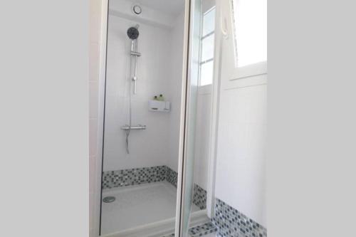 une salle de bain avec une douche avec une porte vitrée dans l'établissement Charmante maison, à Saint-Michel-le-Cloucq