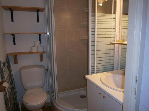 ein Bad mit einem WC, einer Dusche und einem Waschbecken in der Unterkunft Appartement duplex 7 pers 3 chambres pied des pistes La Joue du Loup in Le Dévoluy