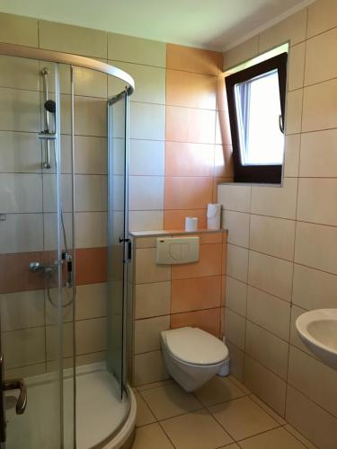 a bathroom with a toilet and a glass shower at Silviu in Baile Unu Mai