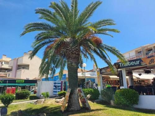 a palm tree in front of a shopping center at cosy STUDIO 4 personnes, proche mer et commerce 0 chambre in Le Grau-du-Roi