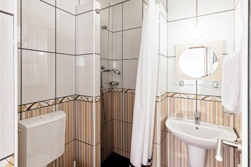 La salle de bains est pourvue d'un lavabo, de toilettes et d'un miroir. dans l'établissement Vila Mosel, à 2 Mai