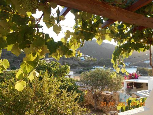 a view of a town from a bunch of grapes at PATMOS Mathios Studios- apartments in Patmos